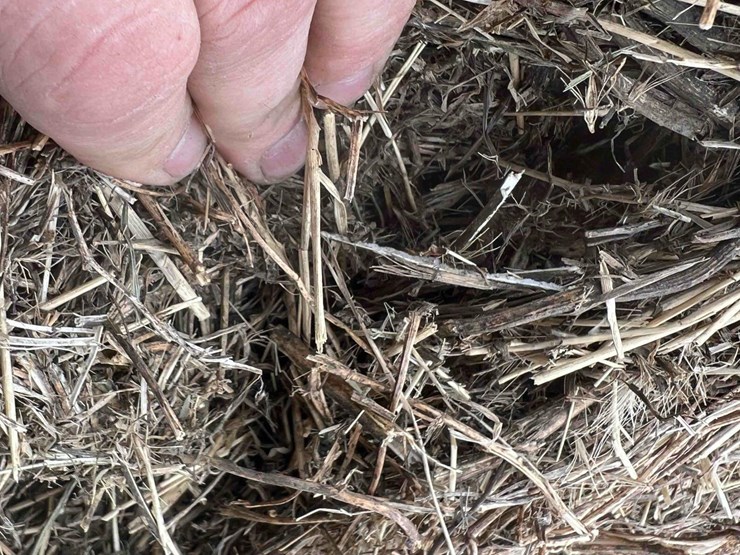 2024-grass-hay-image-7