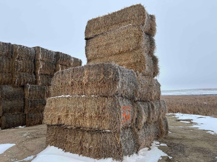 2025-straw-squares-image-2