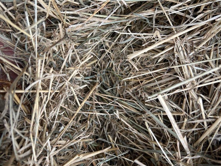 2024-grass-hay-image-10
