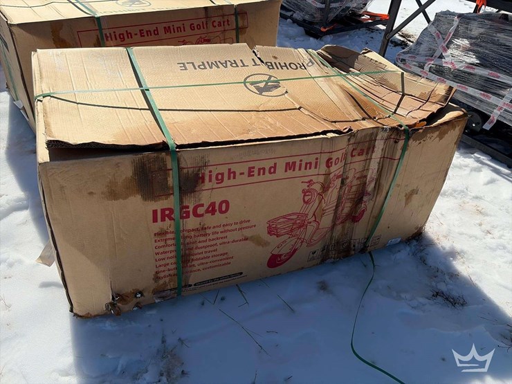 2025-sdlanch-irgc40-two-seat-electric-tricycle-image-1