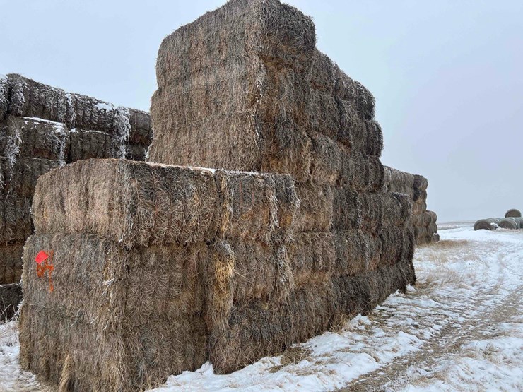 2025-alfalfa-mix-hay-image-3