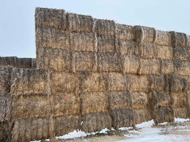 2025-grass-squares-image-10