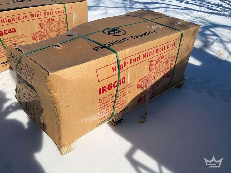 2025-sdlanch-irgc40-two-seat-electric-tricycle-image-2