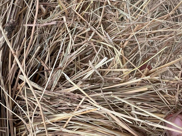 2024-john-deere-561m-image-5