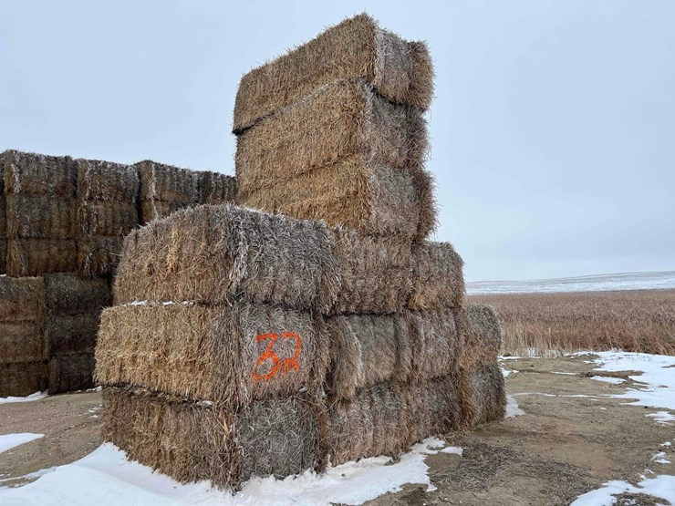 2025-straw-squares-image-1