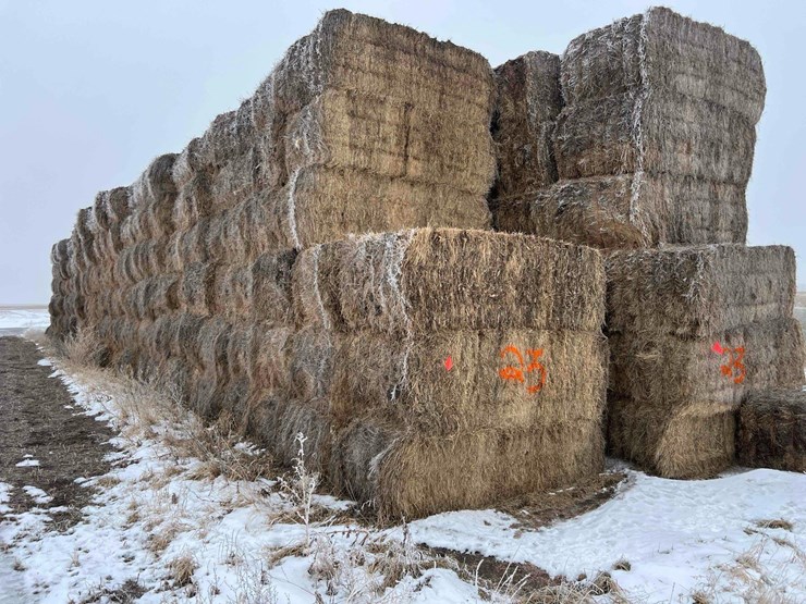 2024-grass-hay-image-5