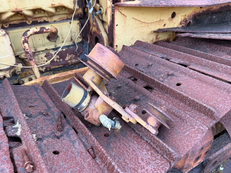 international-crawler-image-18