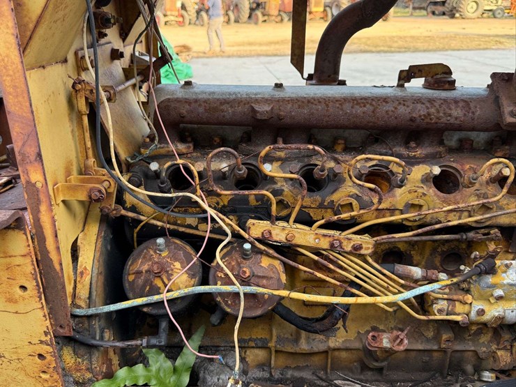 international-crawler-image-11