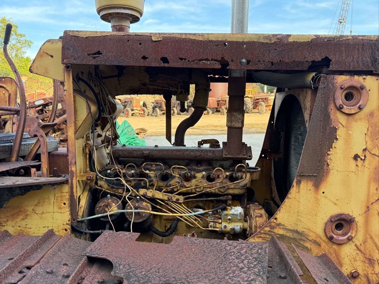 international-crawler-image-10