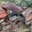 b.f.-avery-parts-tractor-image-17