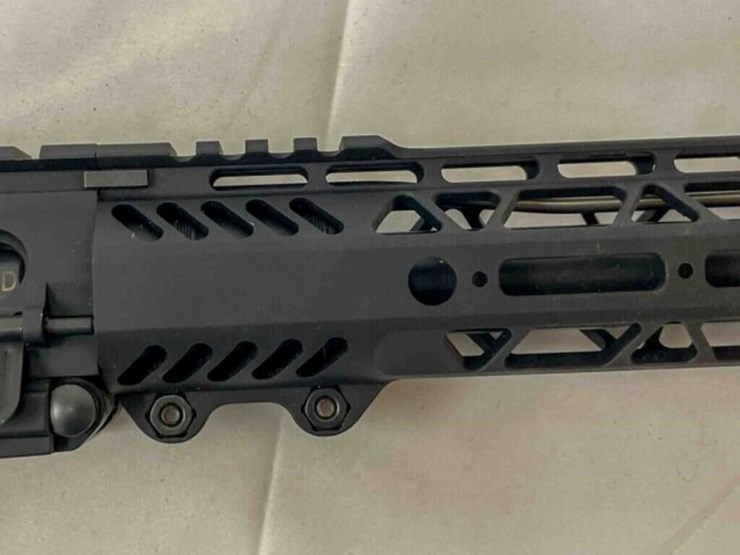 palmentto-state-rifle-image-7