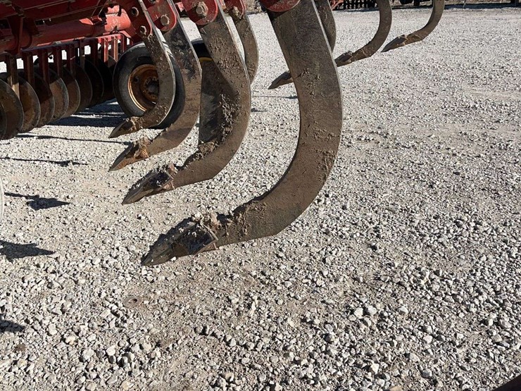 sunflower-4110-image-6