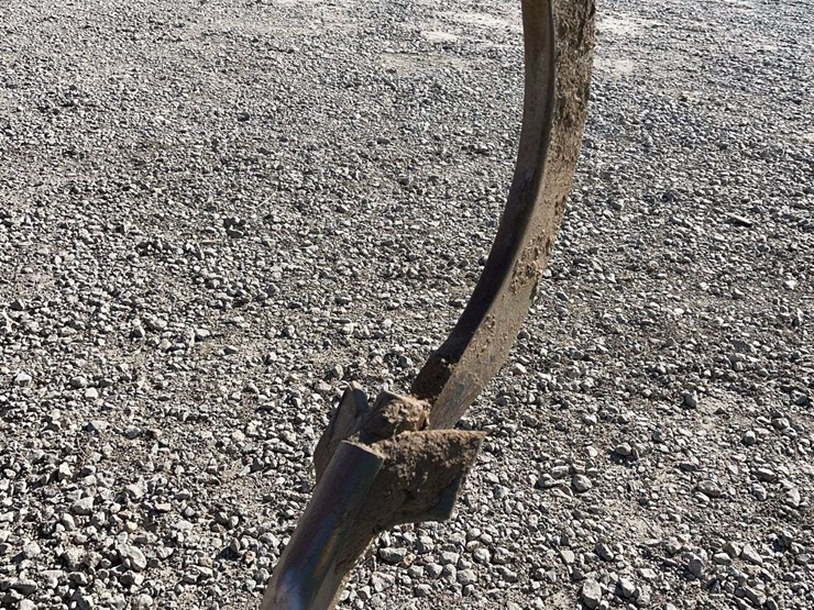 sunflower-4110-image-5