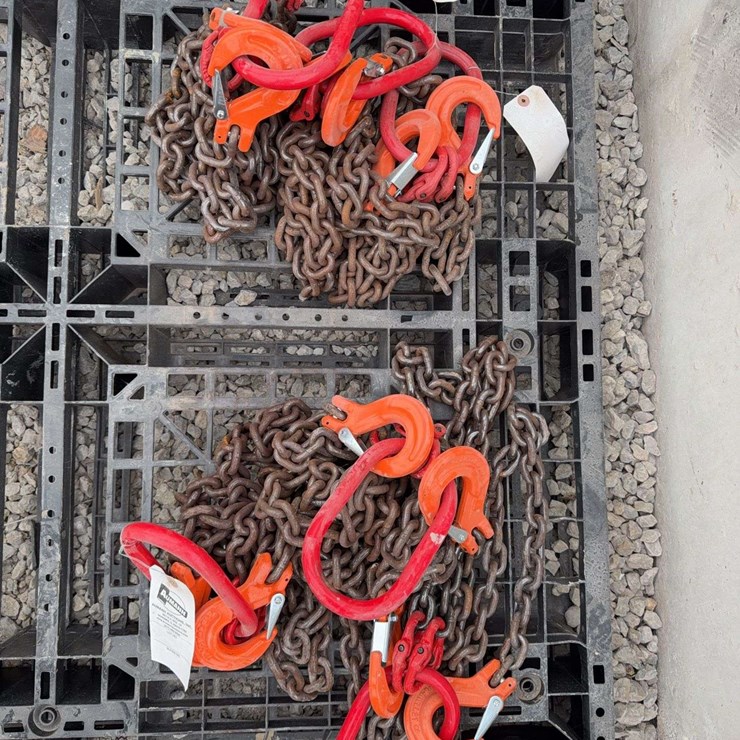 (6) Two Leg Lifting Chains