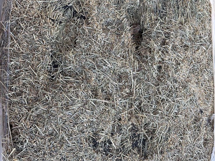 pallet-of-timothy-hay---24-bales-per-pallet-image-2