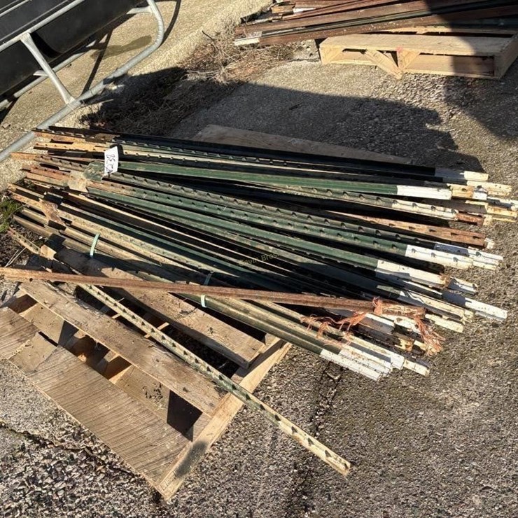 50 6' T-Posts
