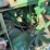 john-deere-4020-image-37