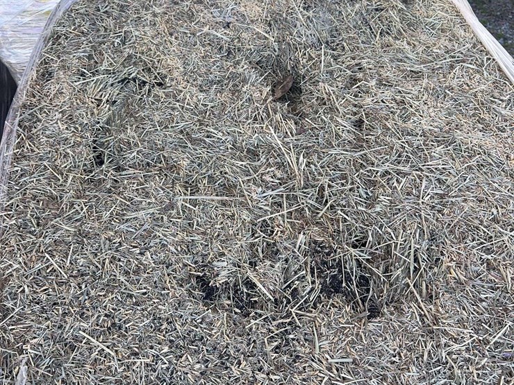 pallet-of-timothy-hay---24-bales-per-pallet-image-2