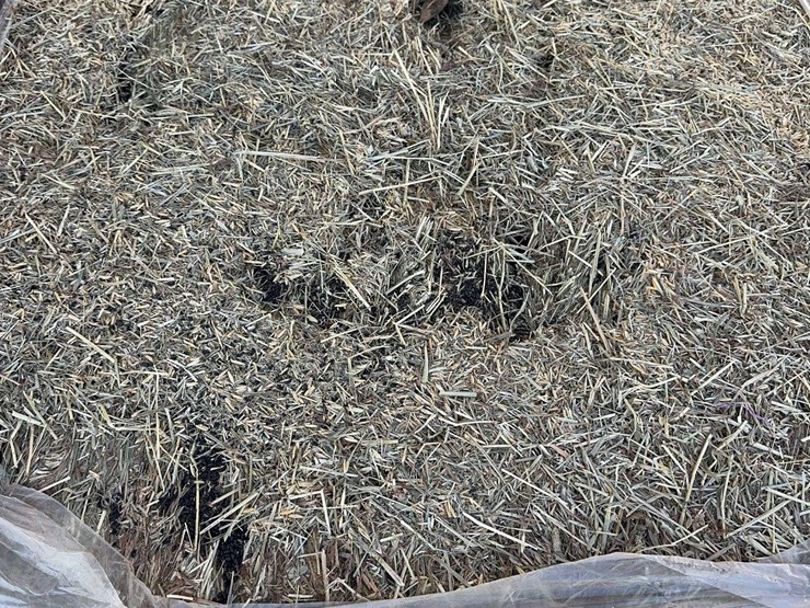 pallet-of-timothy-hay---24-bales-per-pallet-image-2