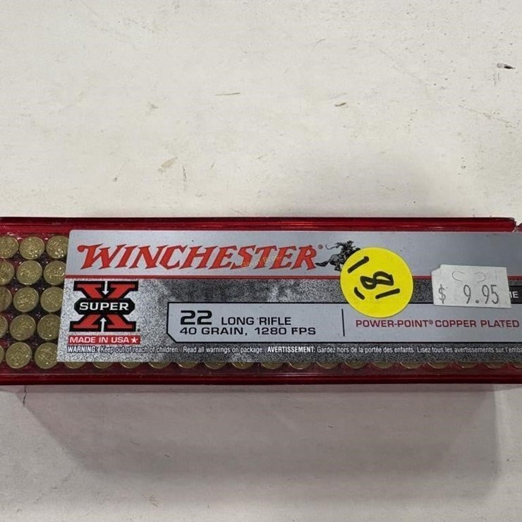Winchester .22 Ammo