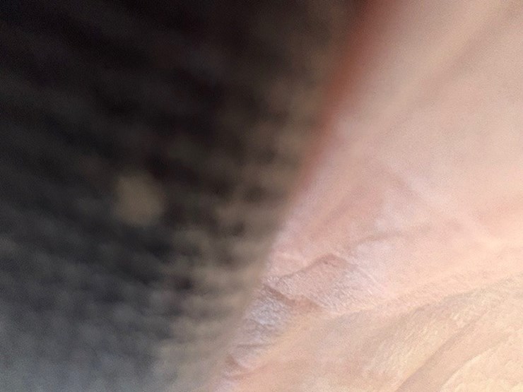 john-deere-8320r-image-48