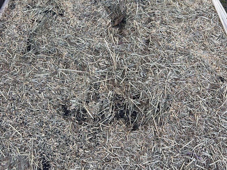 pallet-of-timothy-hay---24-bales-per-pallet-image-3
