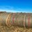 16-native-mix-round-bales-image-2