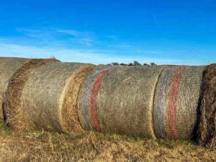 16-native-mix-round-bales-image-2