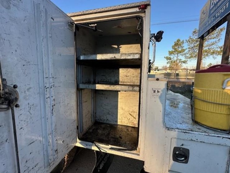 2009-tiger-8051-image-8