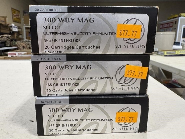 51-rds-300-wby-mag-image-3