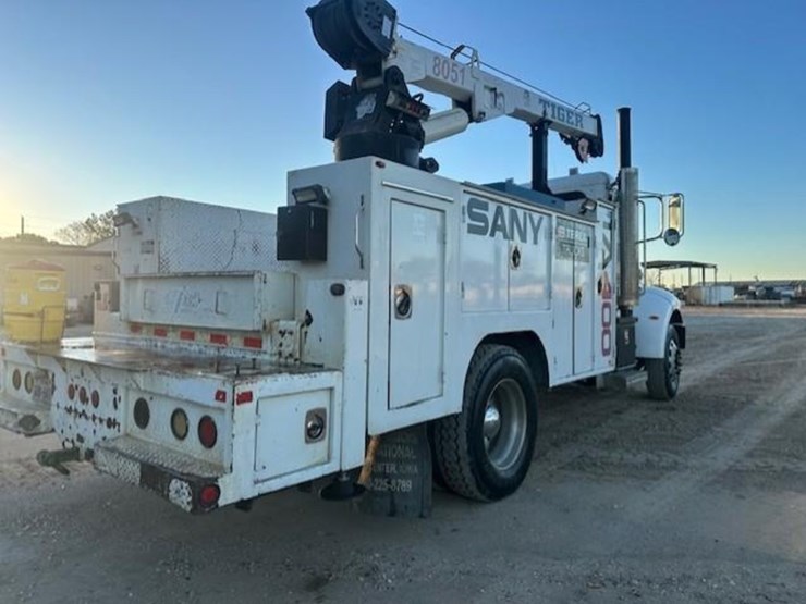 2009-tiger-8051-image-4