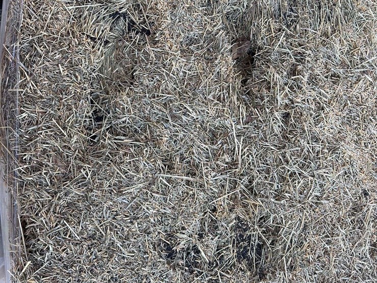 pallet-of-timothy-hay---24-bales-per-pallet-image-2