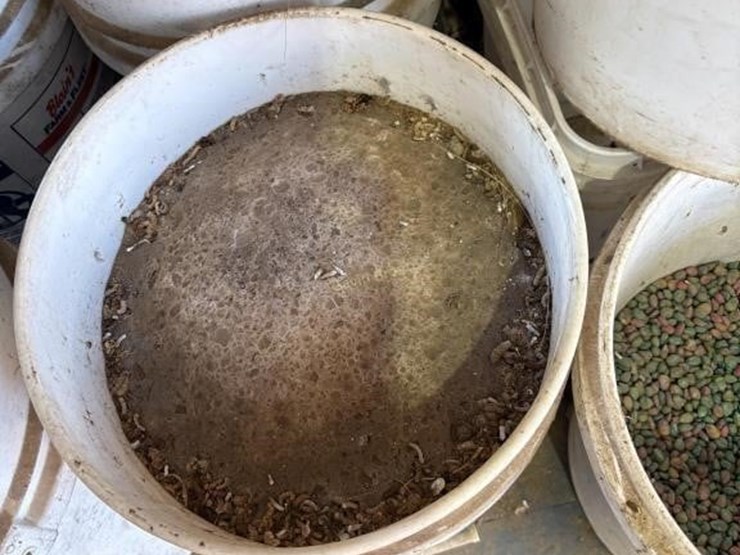 empty-pails-&-other-pails-with-misc-contents-image-3