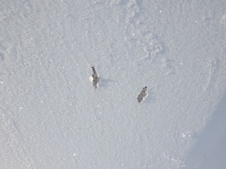 2014-peterbilt-386-image-24