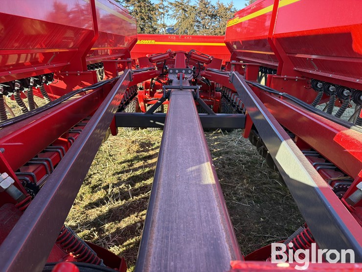 sunflower-9435-image-15