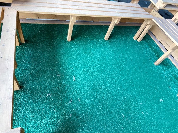 #5915-•-parade-wagon-image-14