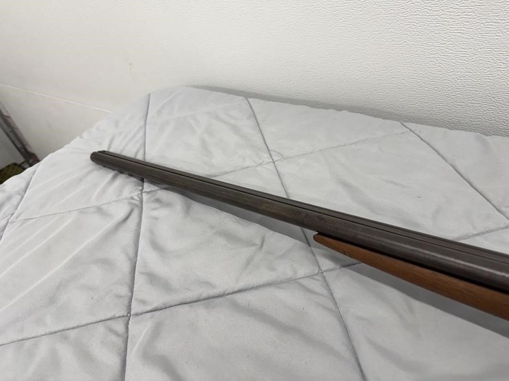 gordon-double-barrel-20-gauge-shotgun-image-5