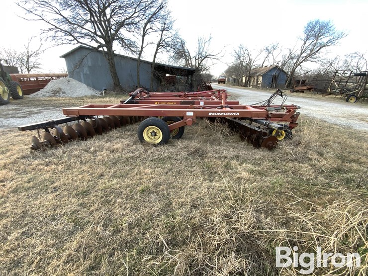 sunflower-1434-23-image-4