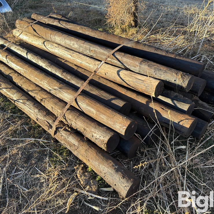 Creosote Wood Posts