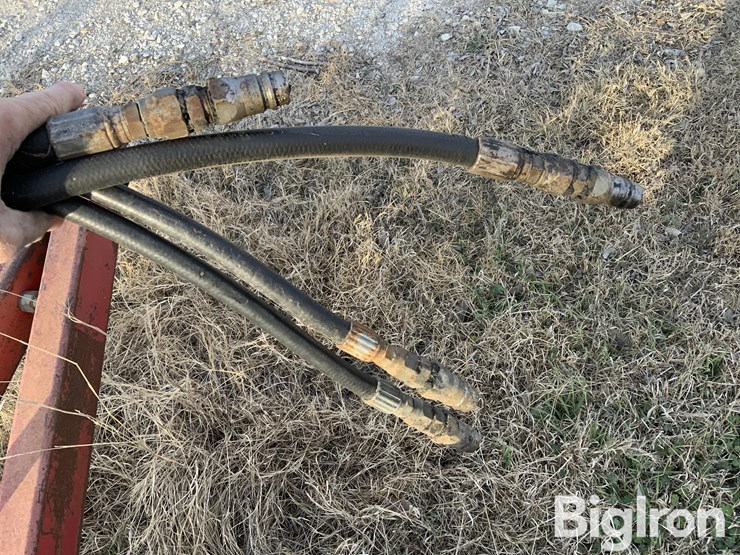 sunflower-1434-23-image-11