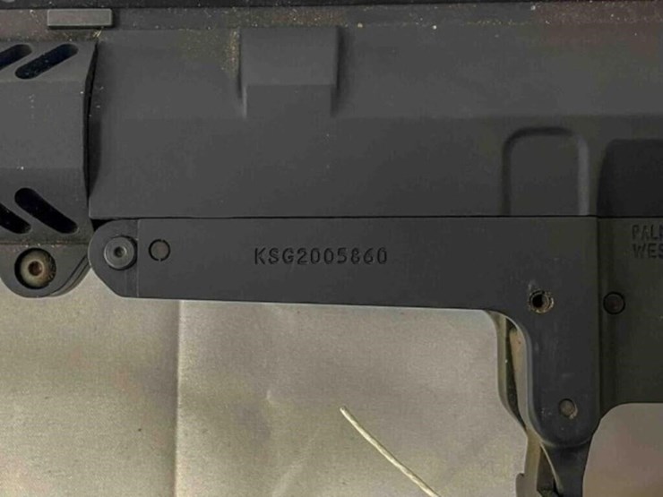 palmentto-state-rifle-image-16