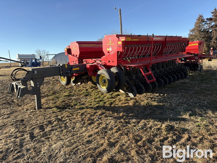 sunflower-9435-image-3