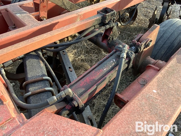 sunflower-1434-23-image-20