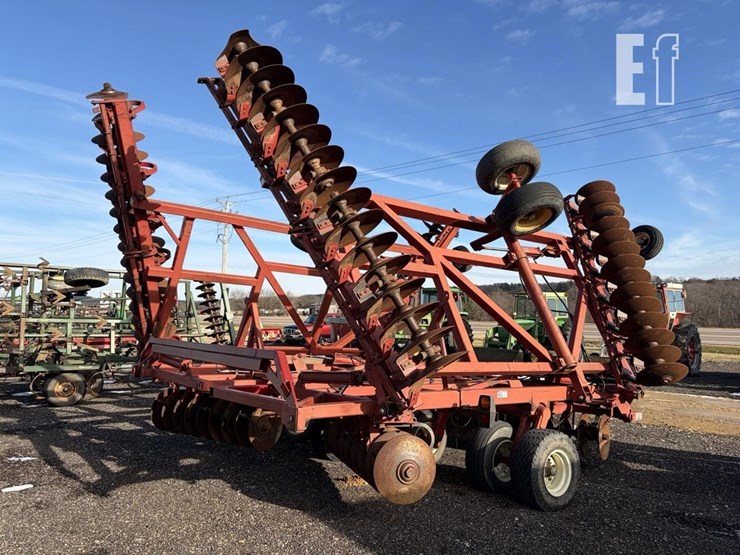 sunflower-1443-35-image-2