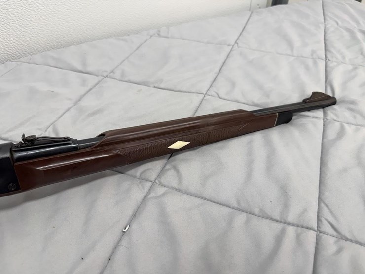 remington-nylon-.22-lr-rifle-image-2