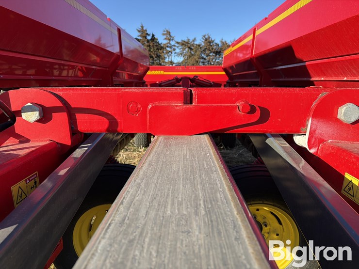 sunflower-9435-image-14