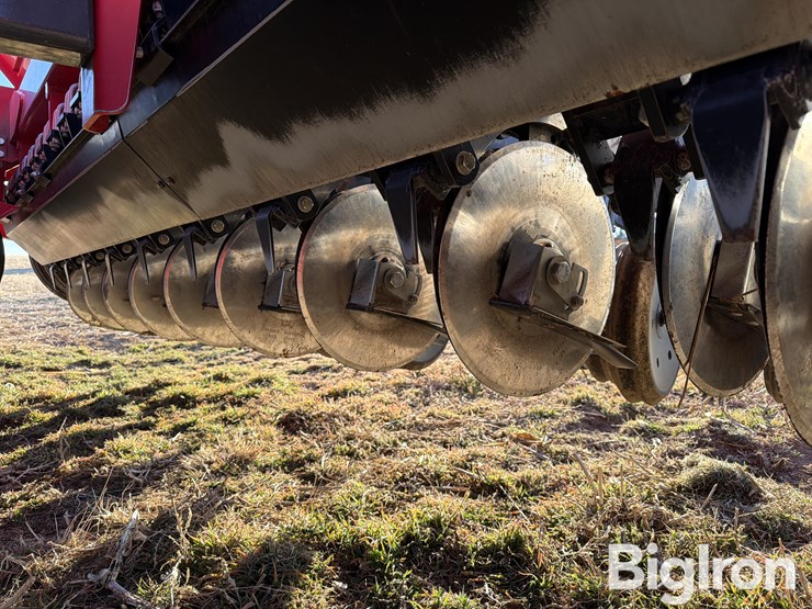 sunflower-9435-image-20