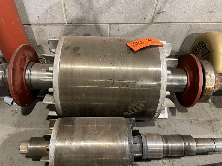 #7089-•-(2)-large-armatures-image-4