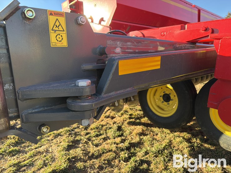 sunflower-9435-image-12