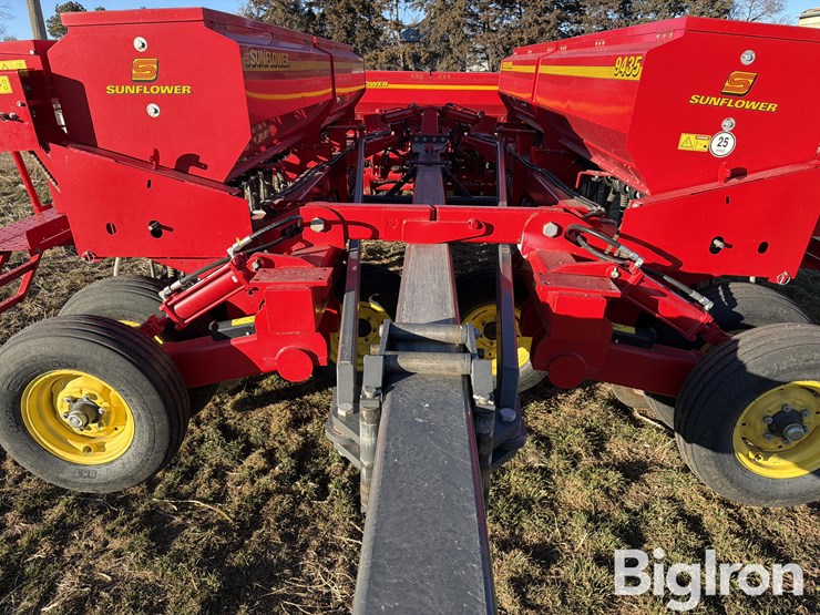 sunflower-9435-image-10